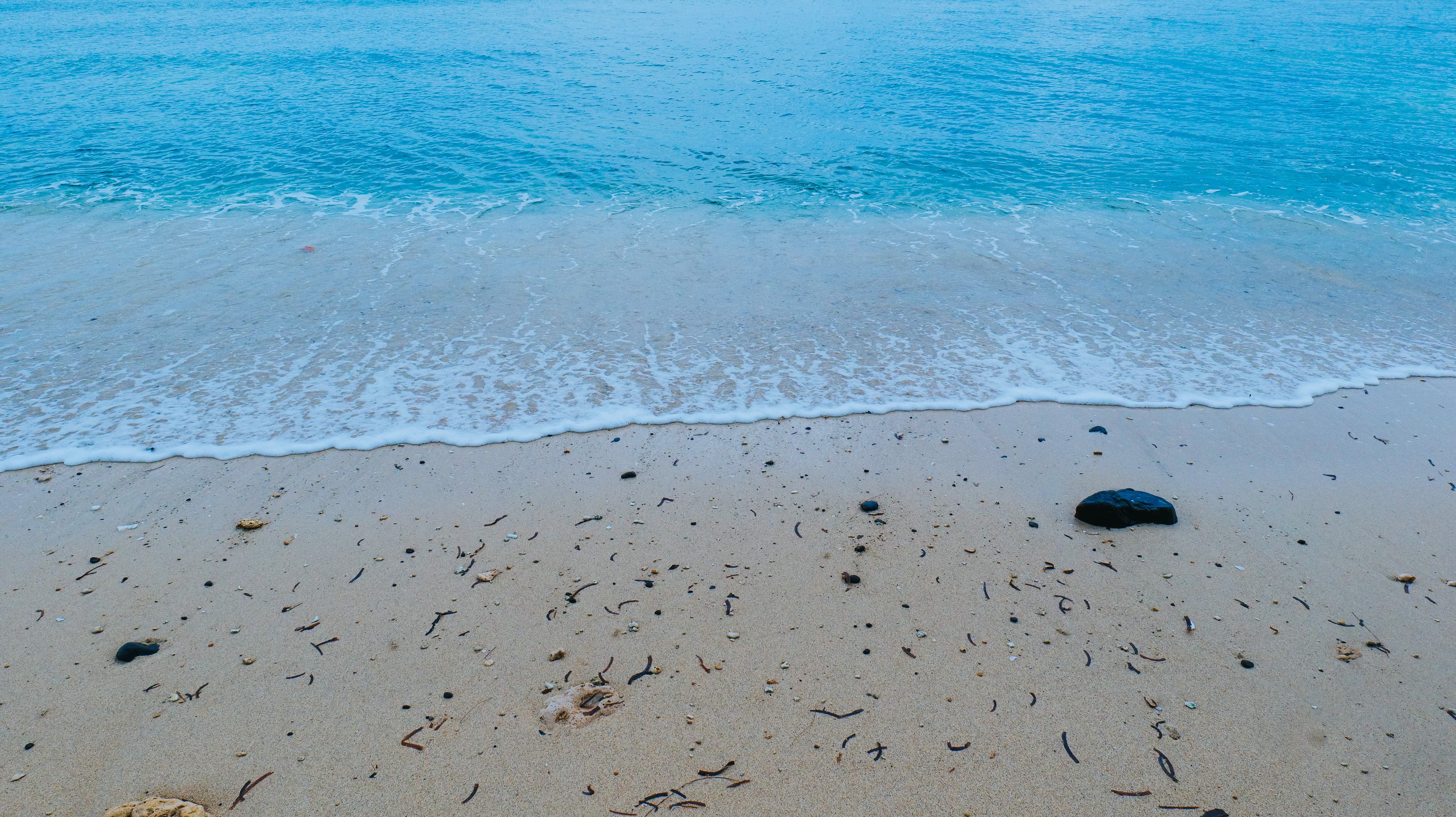 jus123 Pesona Teluk Tomini sebagai Surga Wisata Bawah Laut di Indonesia